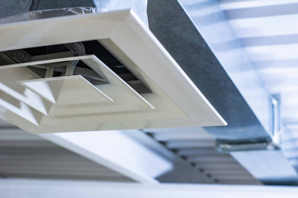 Best Air Duct Mold Removal  in Cockeysville, MD